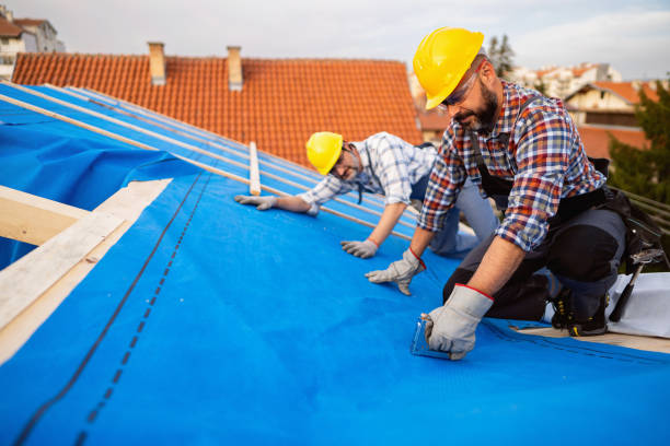Best Metal Roofing Contractor  in Longmont, CO