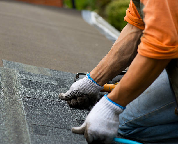 Best Emergency Roof Repair  in Longmont, CO